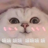 哈喽喂