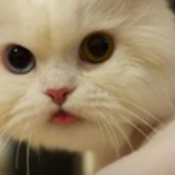 = =