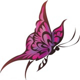 蝴蝶振翅