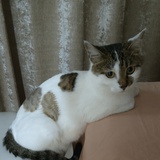 在子夜