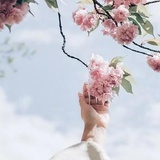 晓寒清如许