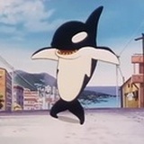 卡妮娜