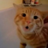 藏蓝