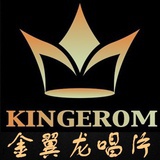 金翼龙唱片
