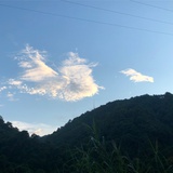 归水畔