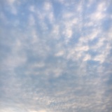 曾经の曾经