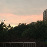 漂无止境