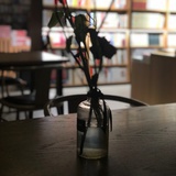 零落尘
