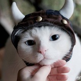 一生在途中