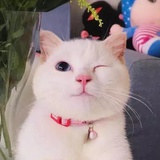 无忧一衍