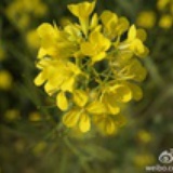 左岸、右转