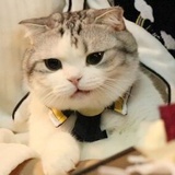 眠