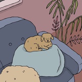 モモ