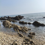 海阔天高任鸟飞