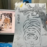 乐动小鸟