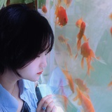 杨晓