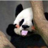 汐拾
