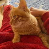 波波咪咪和一一