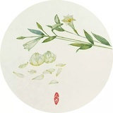阿孝