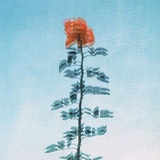 盼春