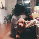 何处是故乡