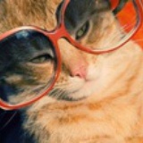 猫太