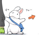 飞行