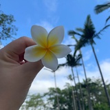 呼吸呼吸呼
