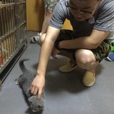 张师傅大碗面