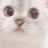 门