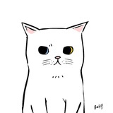 Yaya在路上