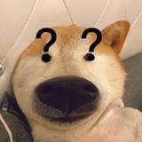小洋人继承人