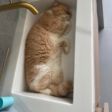 伊水寒烟