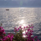 summer