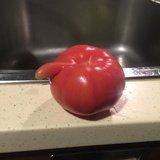 vina_啪蛋