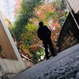 倚風踏雪