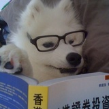 不言不语的傻瓜