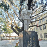 弗里德