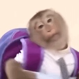鸭