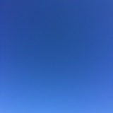 远眺的青竹