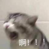 方方点点