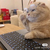 好学的少年