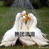 你管我说什么