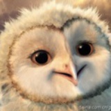 Phiphy