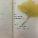 此刻飞雪