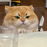 HeyJudy