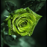 牧神搭上春色..