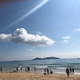 盆栽