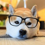 瘦的诗人