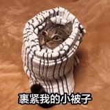 豆瓣专属江湖骗子